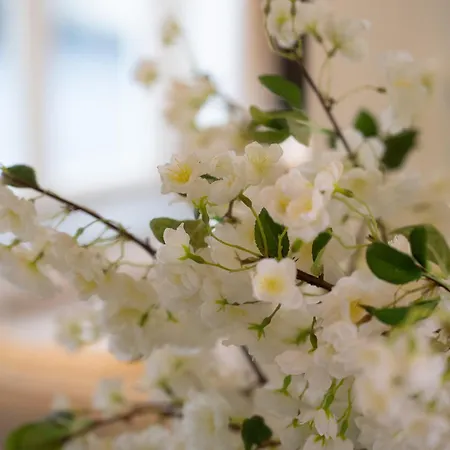 호텔 Bliss Boutique 4*