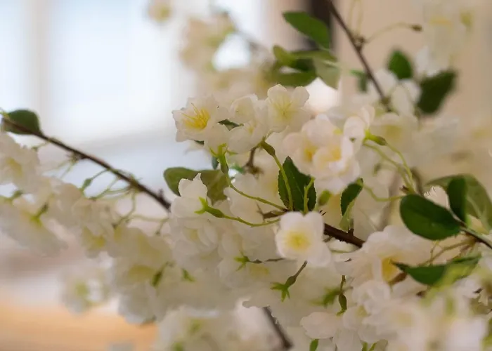 Hotel Bliss Boutique 4*